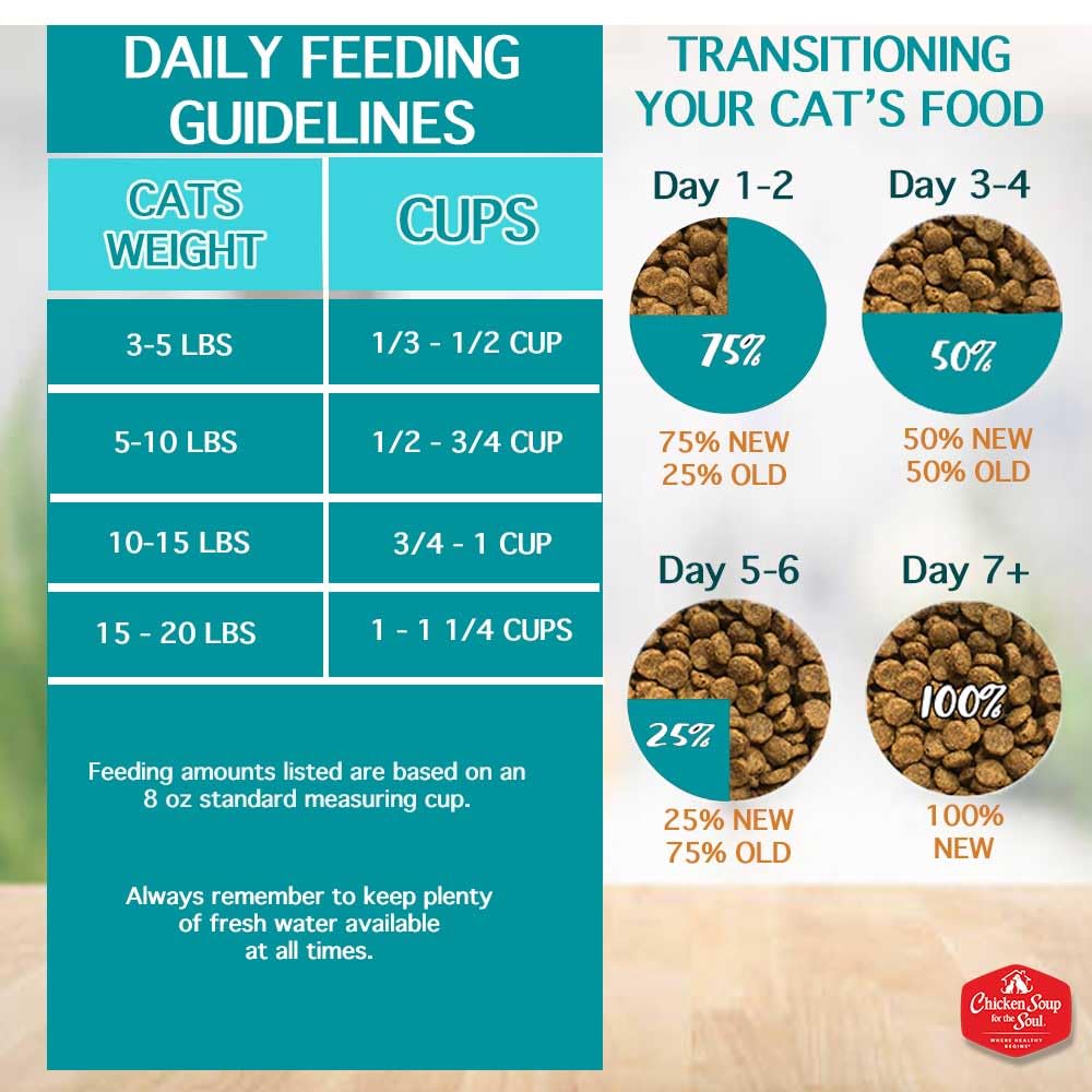 Chicken Soup para Gato con mezcla de proteínas para músculos definidos.