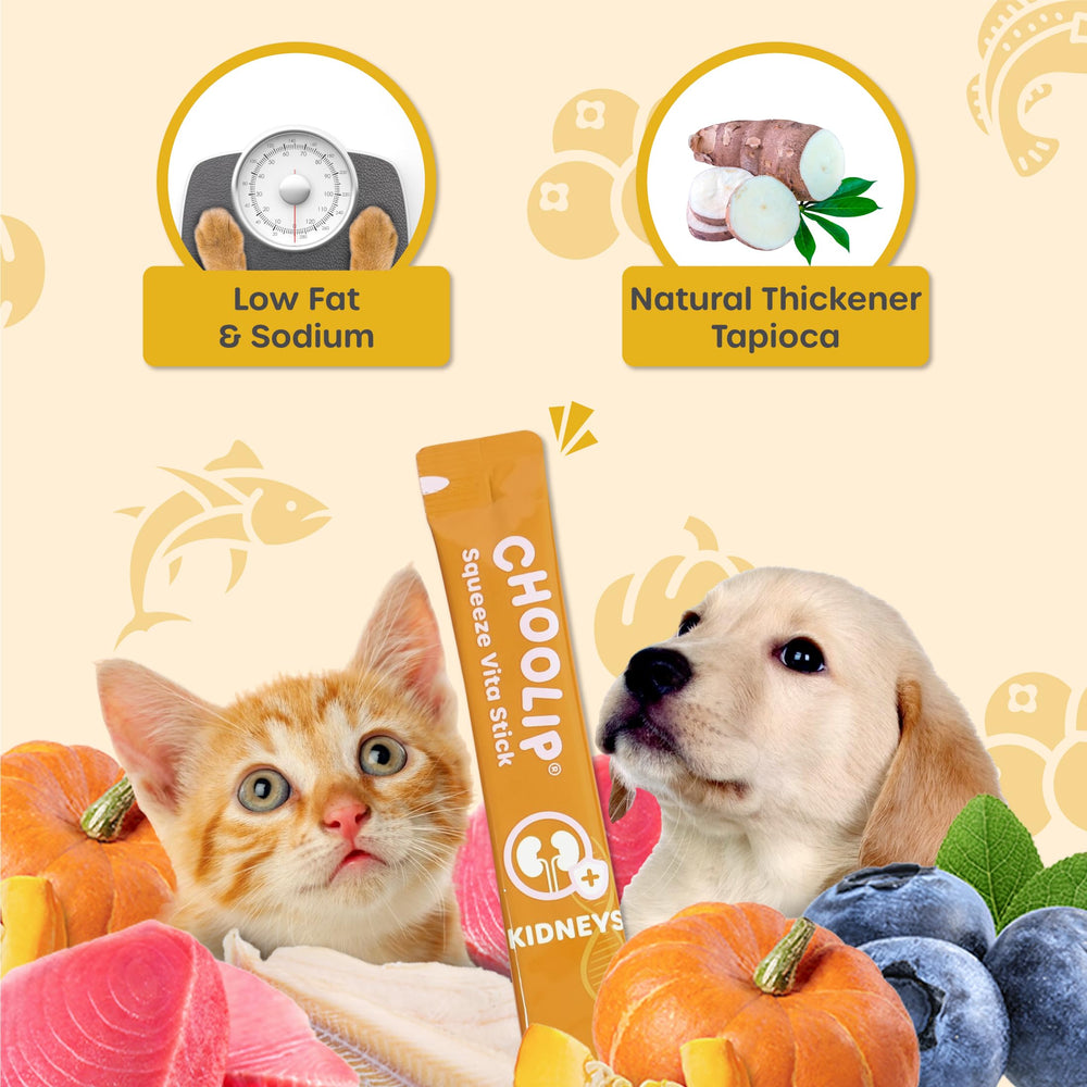 Choolip Squeeze Vita Stick arándano y omega-3, sabor atractivo