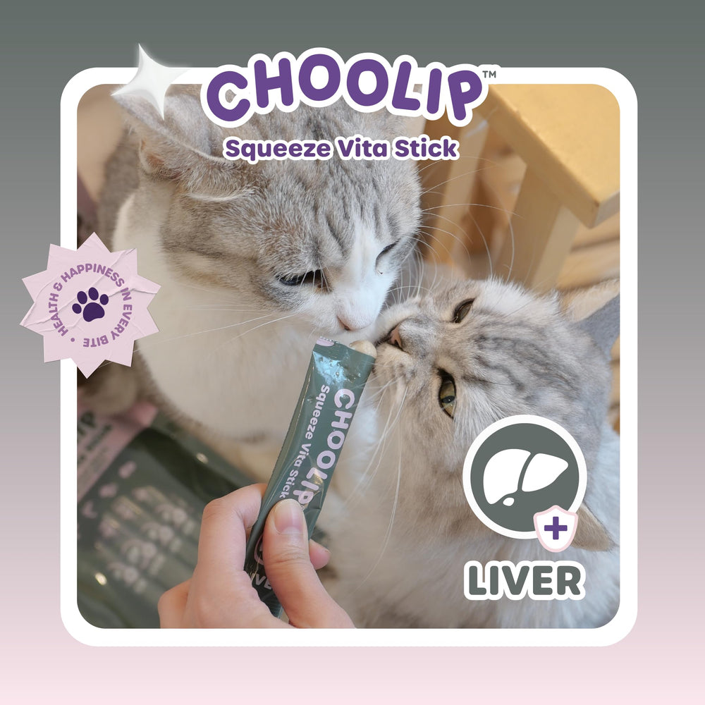 Choolip Squeeze Vita Stick: apto para gatos y perros, snack saludable.