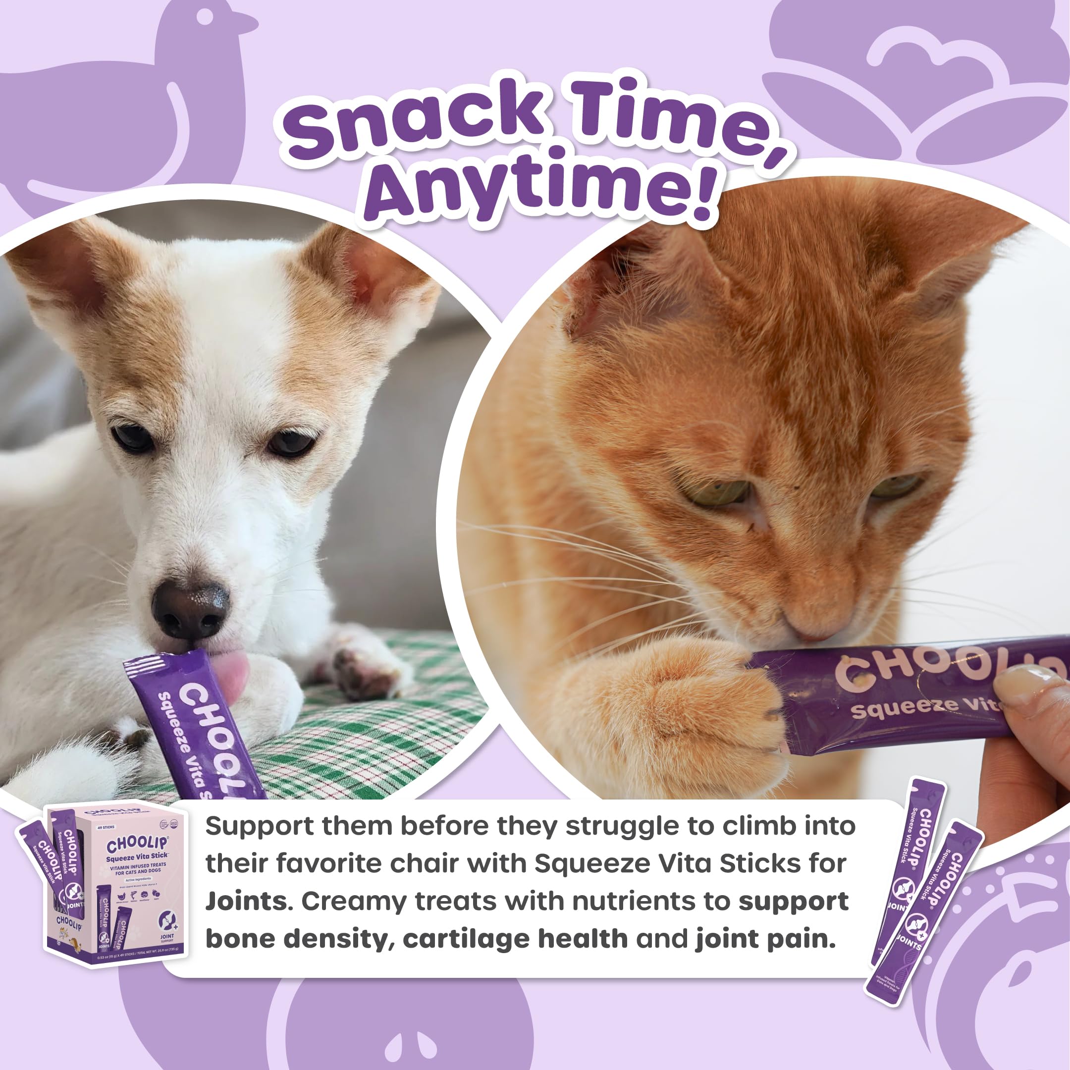 Choolip Squeeze Vita Stick recompensa diaria para hogares con varias mascotas.