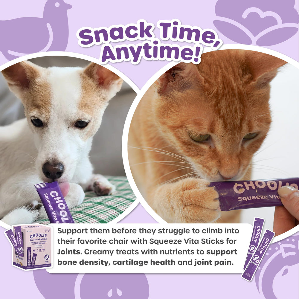 Choolip Squeeze Vita Stick recompensa diaria para hogares con varias mascotas.