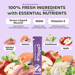 Choolip Squeeze Vita Stick: textura-pollo-salmon, sabor real y proteína.