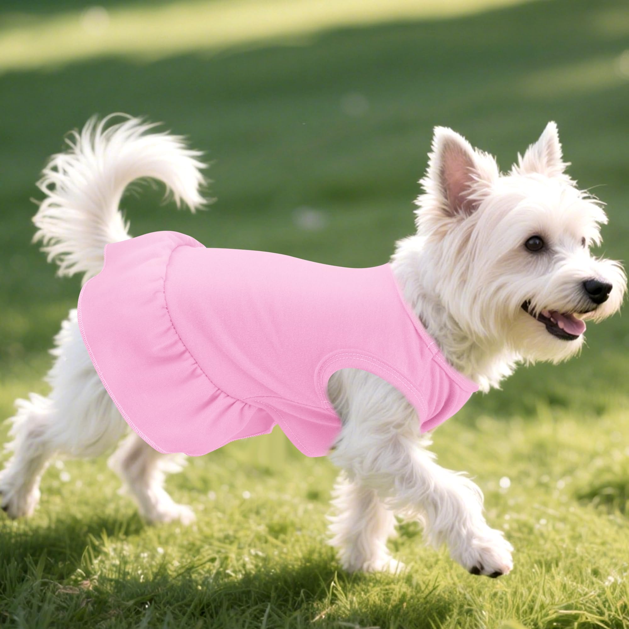 Conjunto de dos piezas de choyaxo para mascotas, estilo casual.