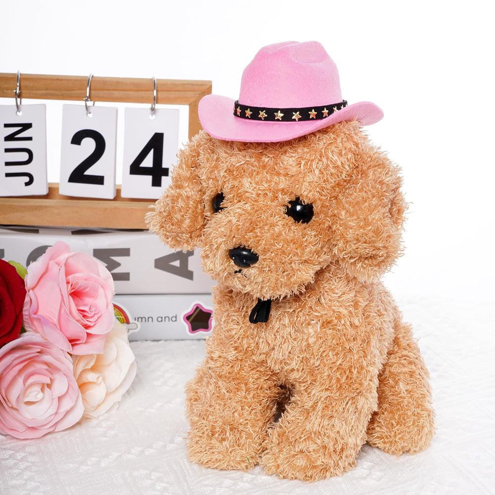 Choyaxo detalle estrella dorada en sombrero rosa, añade toque elegante