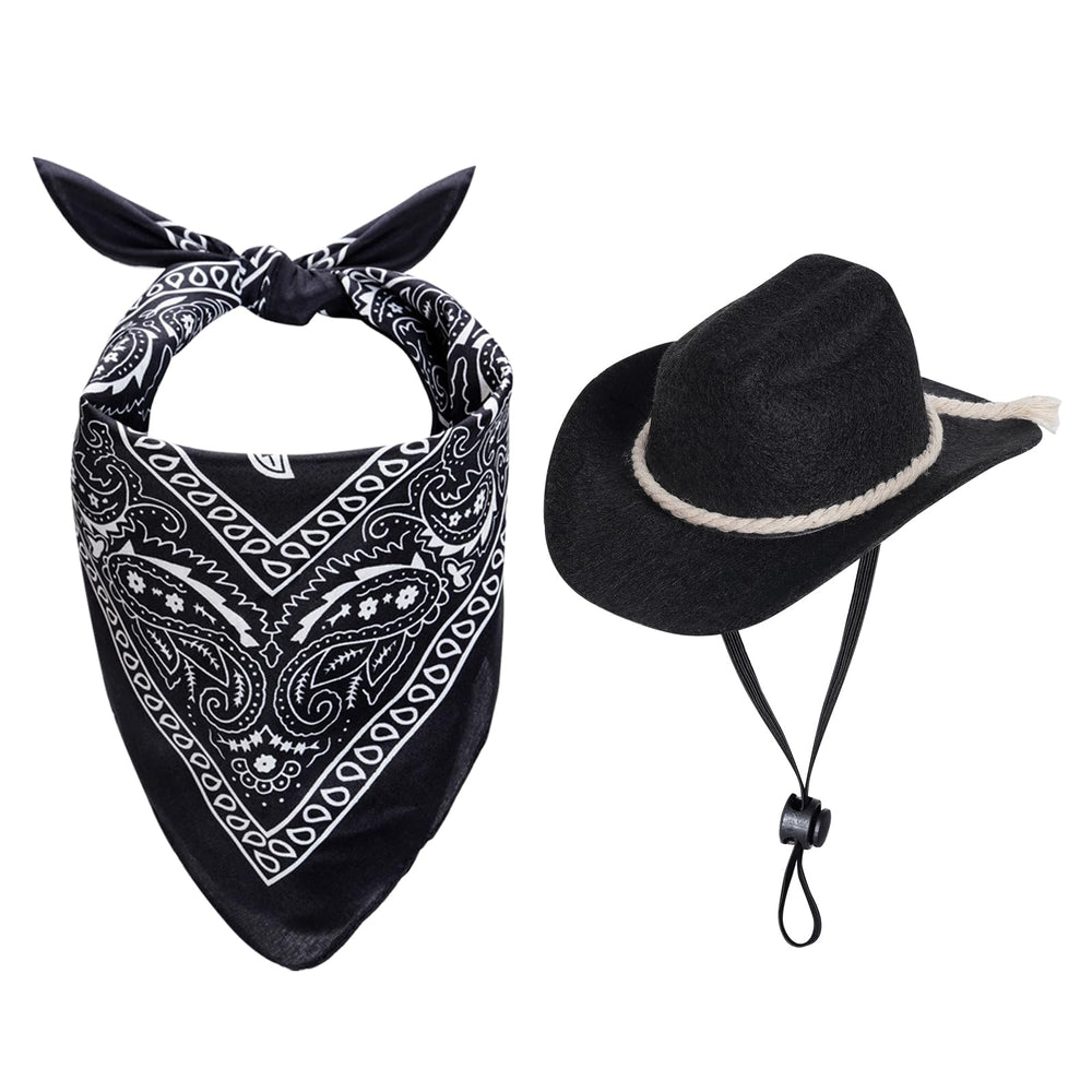 Gorra cowboy de choyaxo para perro negro, ideal para paseos con estilo.