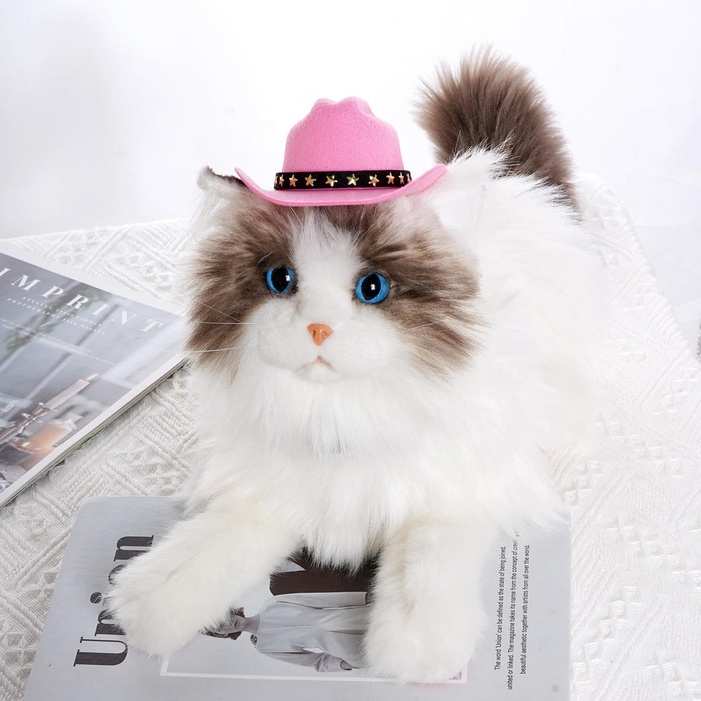 Choyaxo mascota con sombrero rosa, listo para sesión de fotos