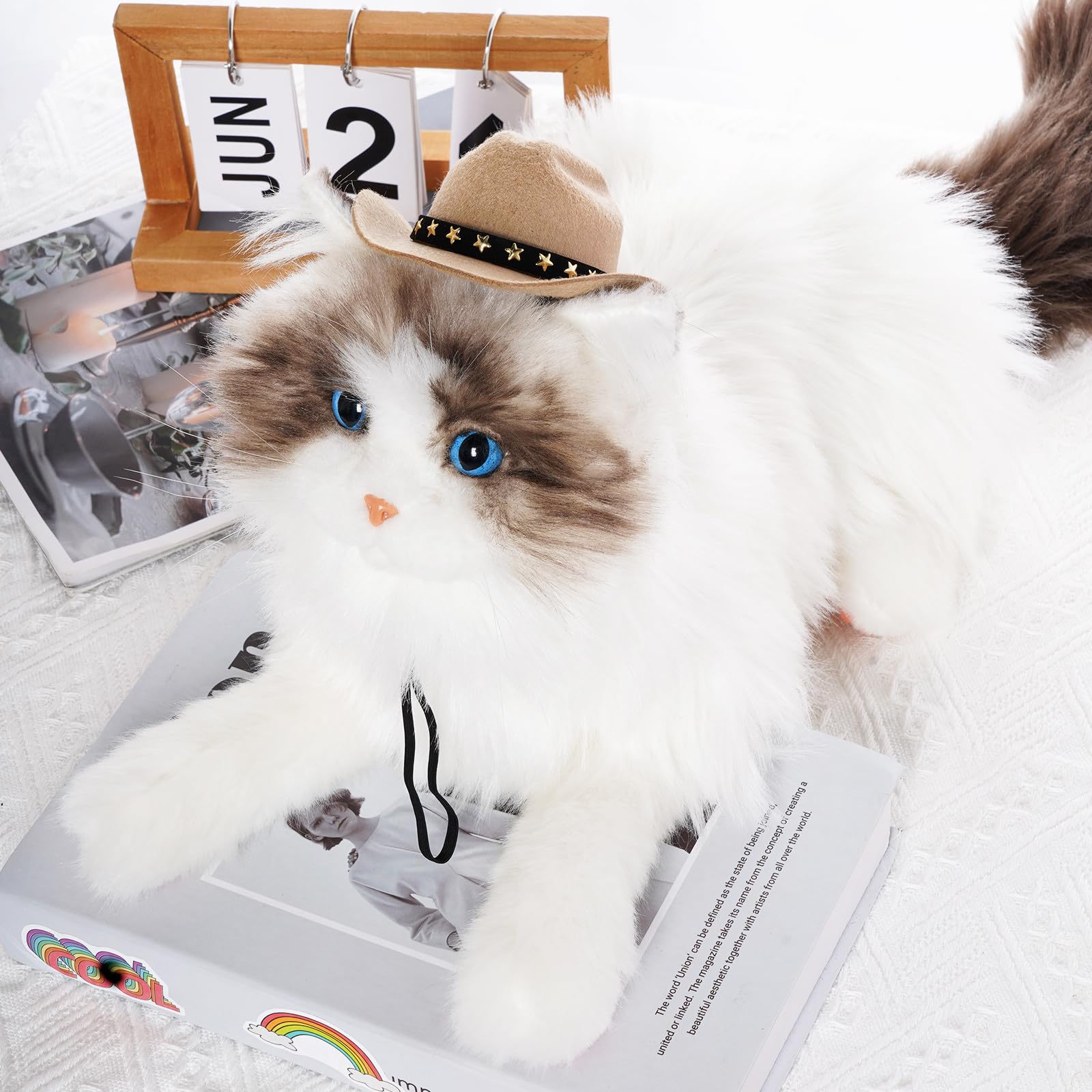 Choyaxo sombrero para mascota en uso diario, estilo cómodo y duradero.
