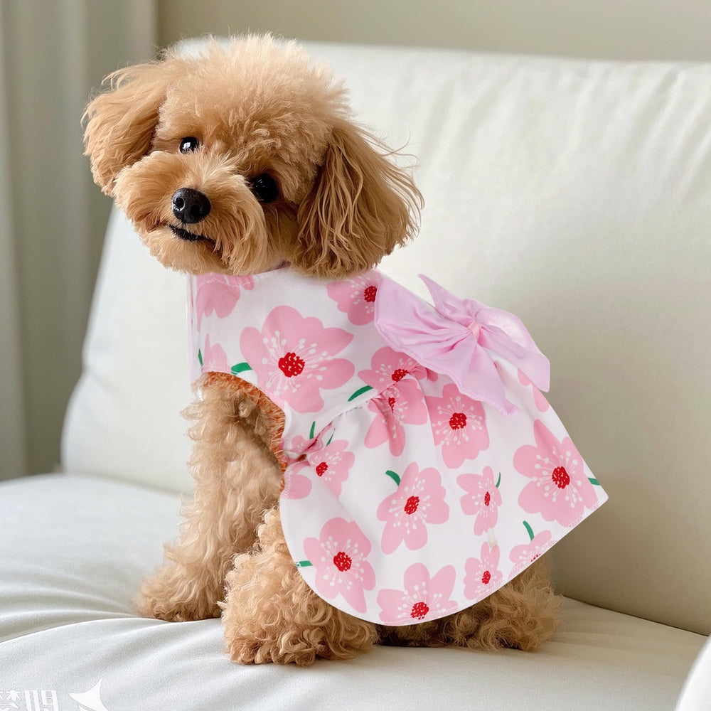 Choyaxo modelo canino con vestido, estilo cómodo para casa y salidas