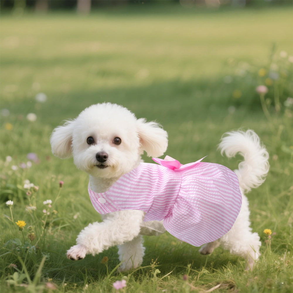 Choyaxo vestido cómodo con tejido suave, facilita movimientos durante paseos.