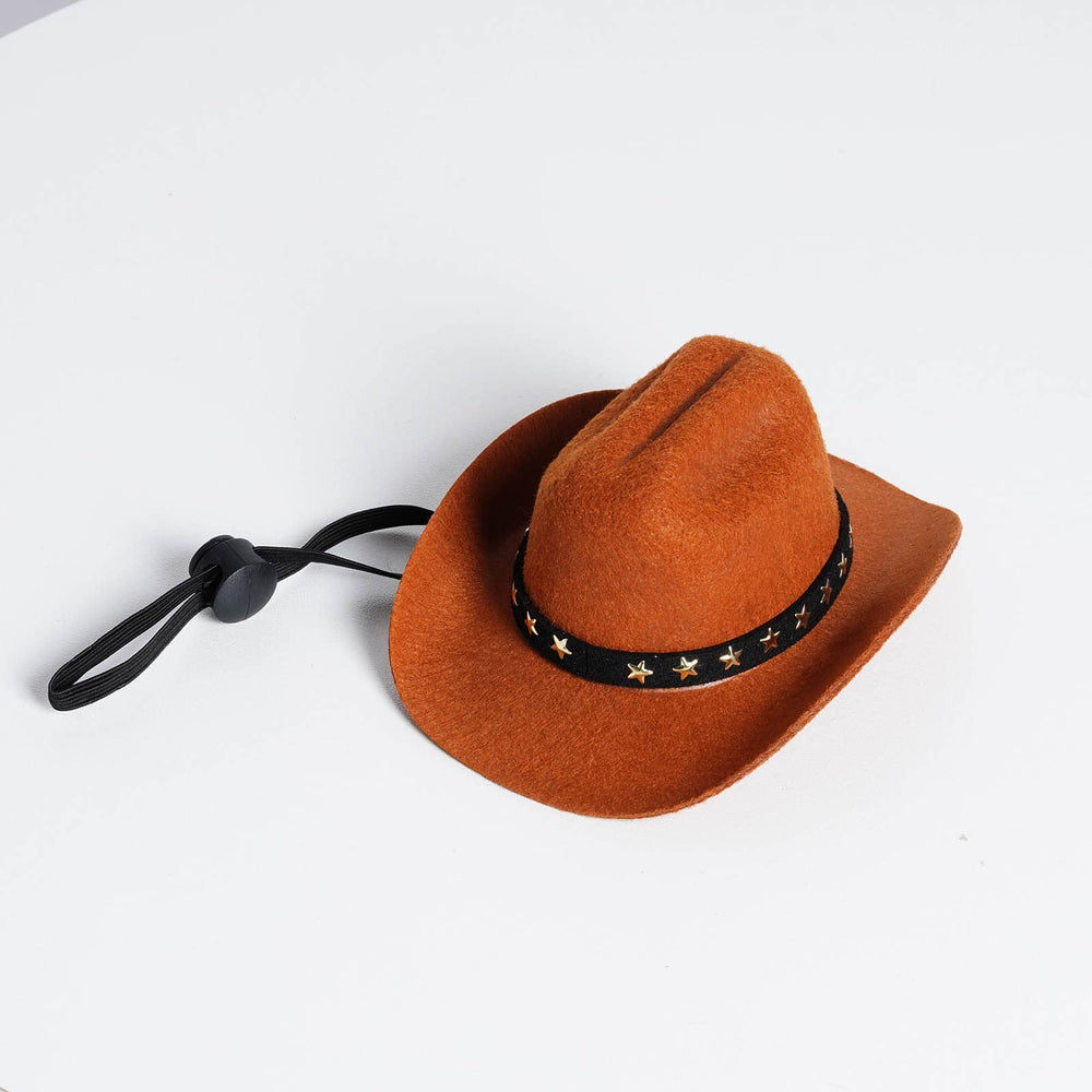 Uso en fiestas western con sombrero choyaxo para mascota