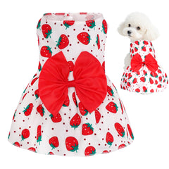 Vestido floral de choyaxo para perro, vista frontal, ideal para paseos