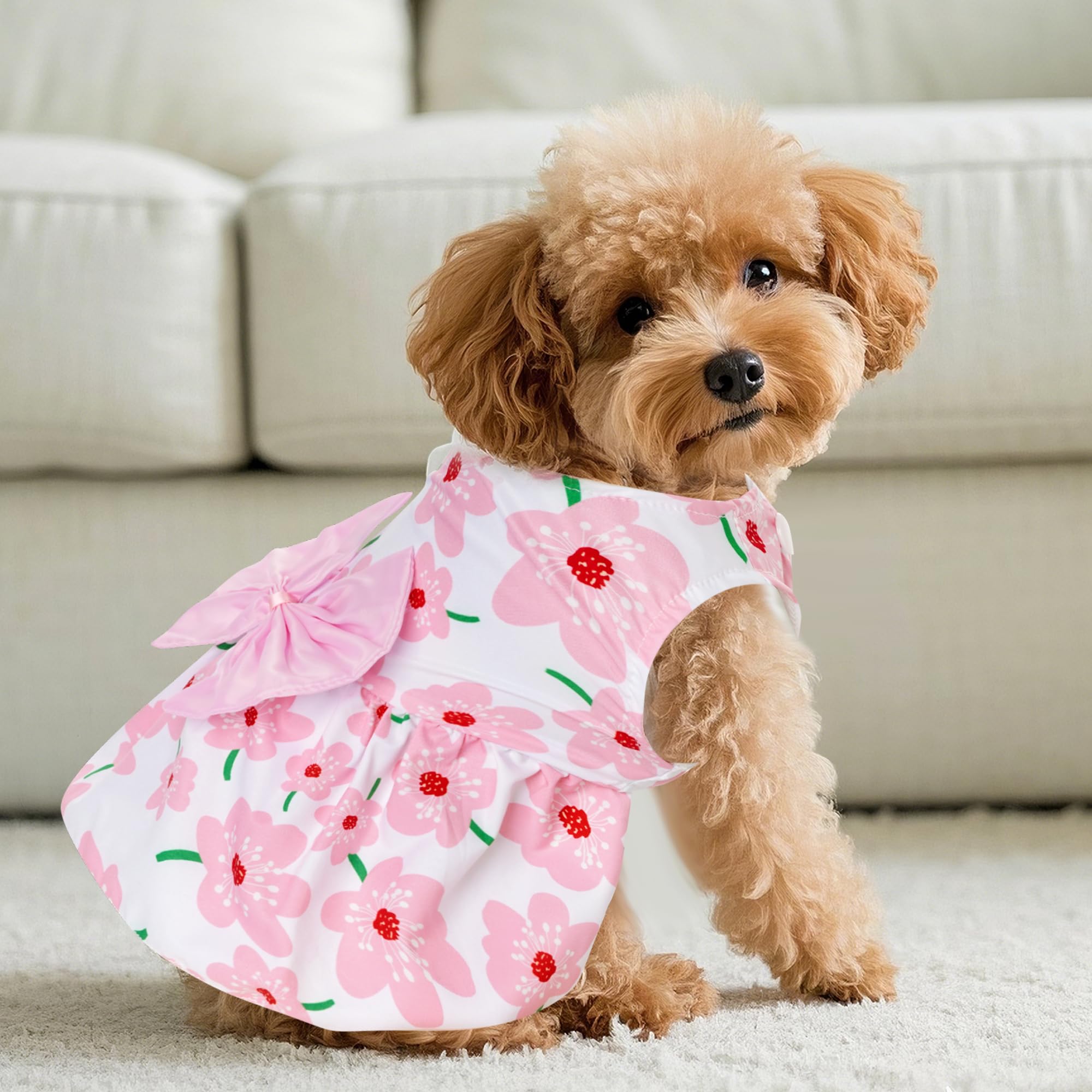 Corte clásico del vestido choyaxo para perros y gatos pequeños.