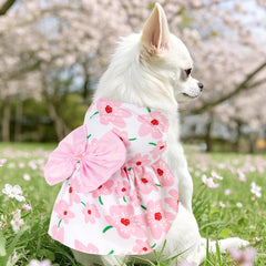 Vestido veraniego rosa de choyaxo para mascotas, cómodo y fresco.