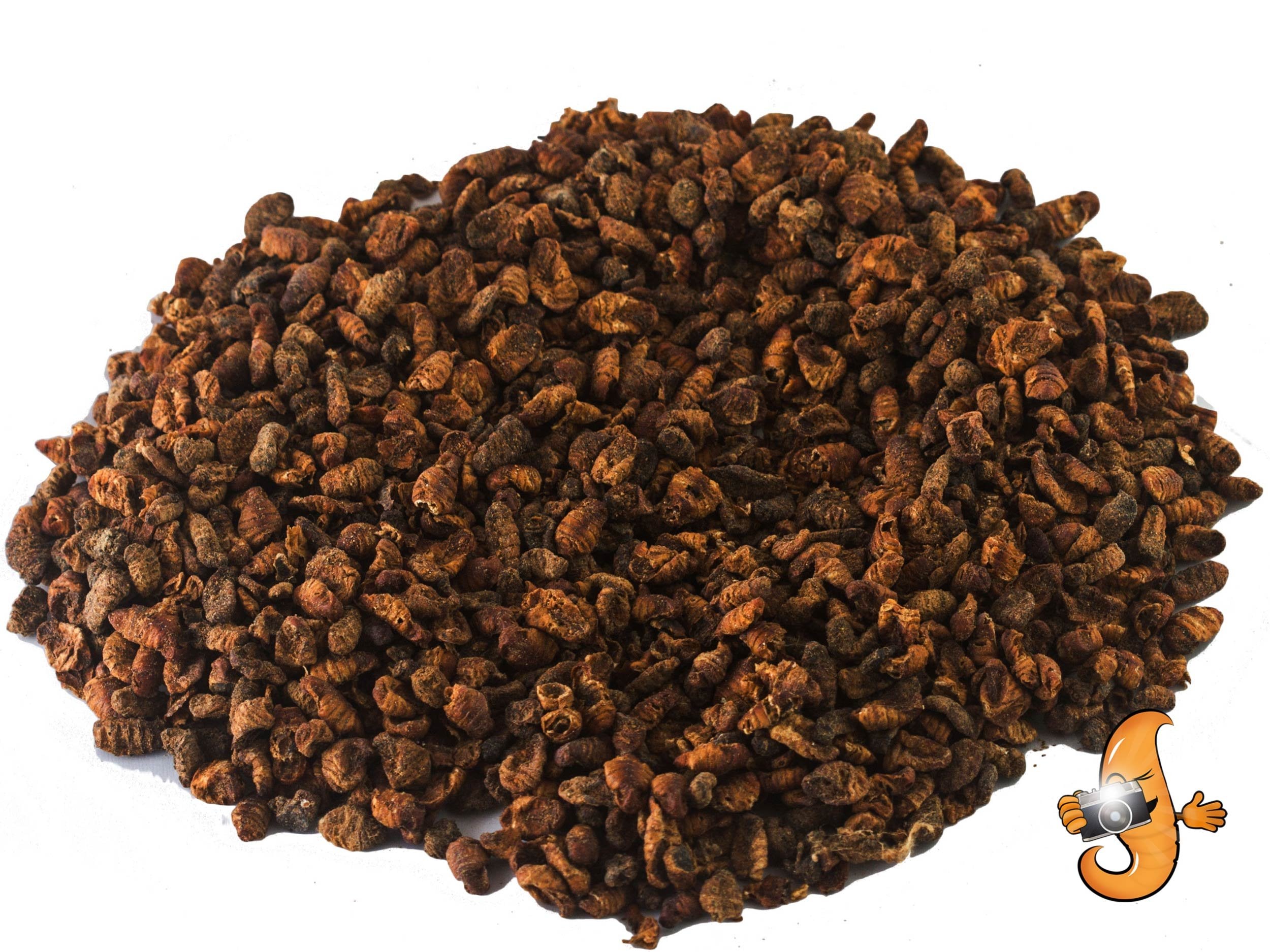 Chubby Mealworms pupas seda seca para peces como suplemento proteico