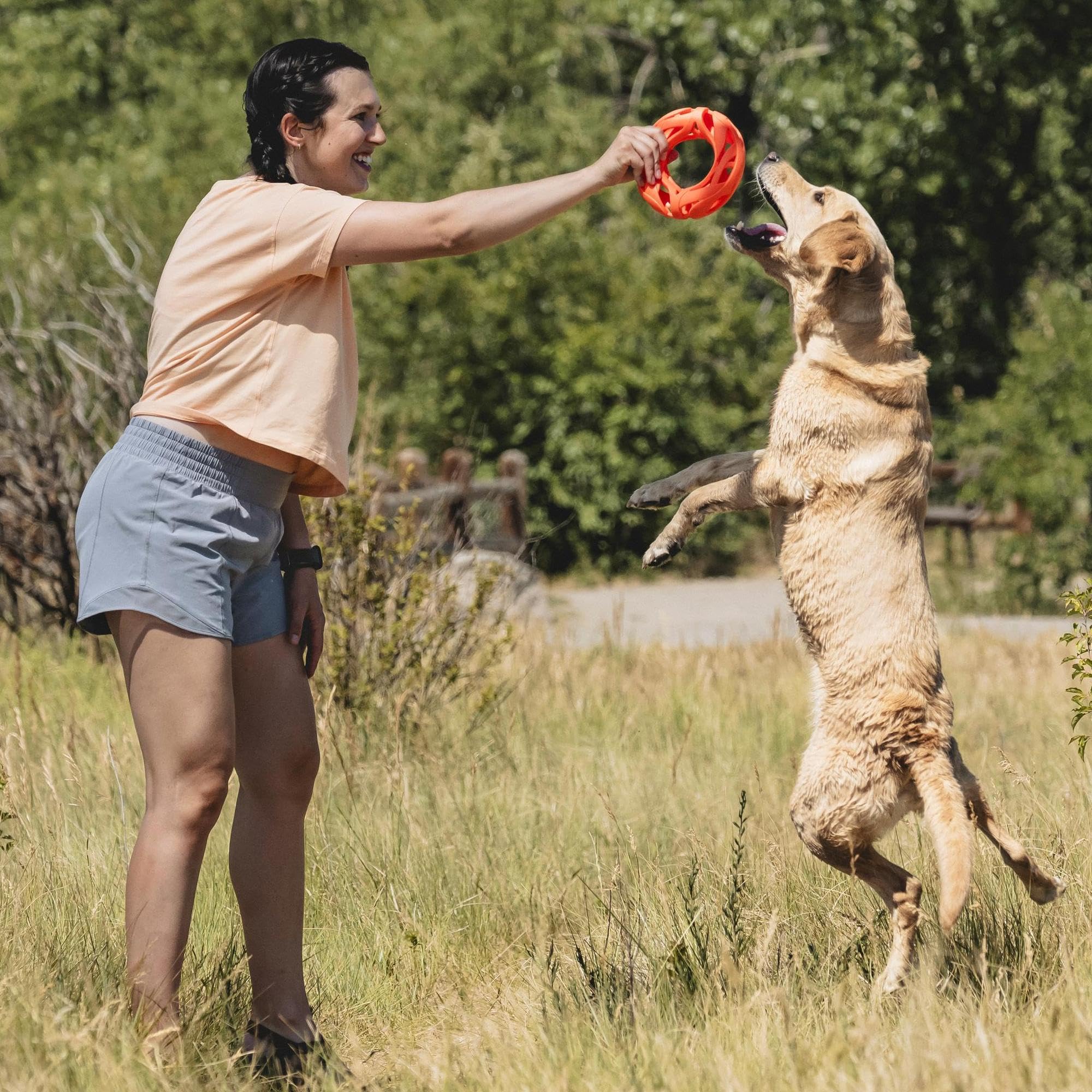 Idéal pour chiens brachycéphales lors de sessions de jeu confortables.