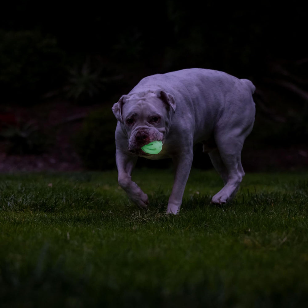 Bola portátil Chuckit! Air Glow para perros activos al aire libre.