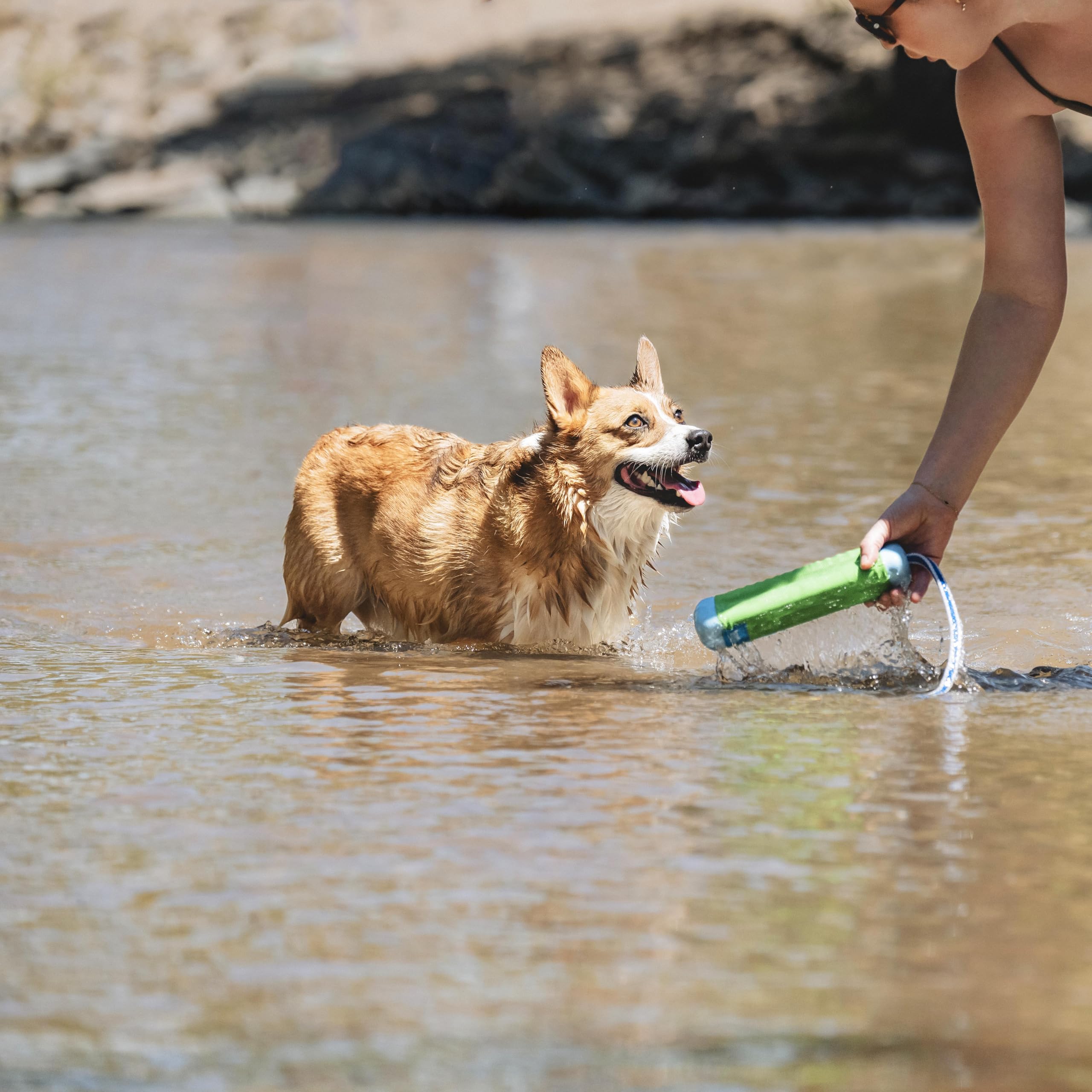 Chuckit! Amphibious Bumper visible en agua y pasto