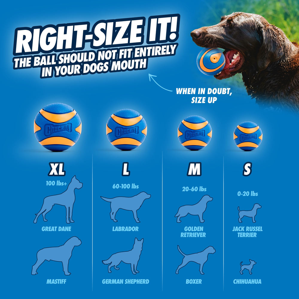 Chuckit Ultra Squeaker XL : sifflet intégré pour un fetch plus engageant.