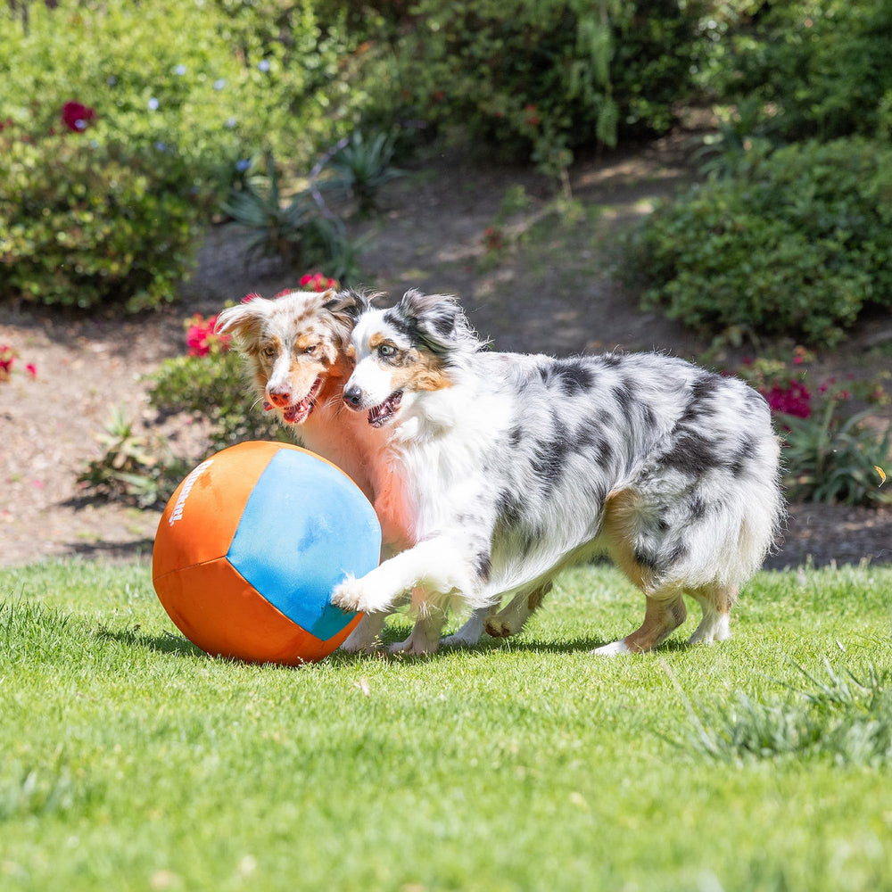 Juegos en interiores y exteriores con Chuckit! Big Air Ball, diseño ligero.