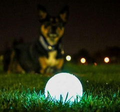 Chuckit! bola luz oscura, brillo de 20-30 minutos tras carga de 5 minutos.