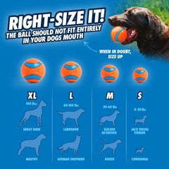 Chuckit! Fetch Medley - pelota mediana de 2,5 pulgadas para perros de tamaño medio