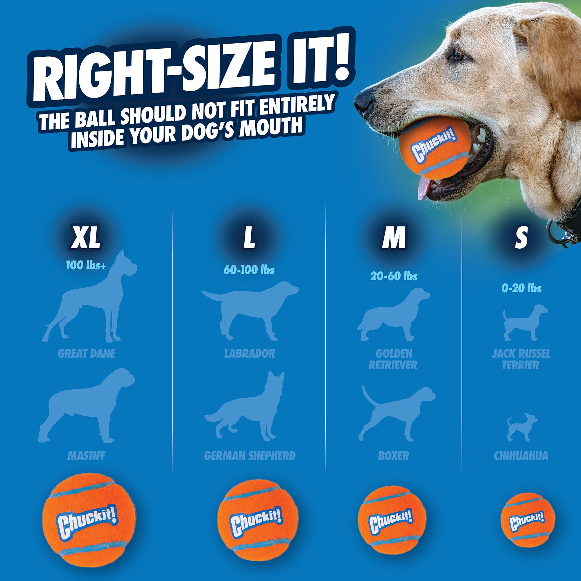 Chuckit! pelota de tenis con fieltro suave no abrasivo