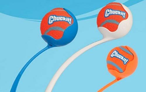 Chuckit! bola tenis grande compatible con lanzadores grandes