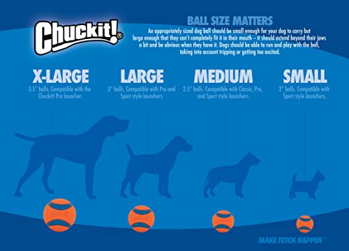 Chuckit Crunch Ball, jouet interactif qui attire l'attention et prolonge le jeu.