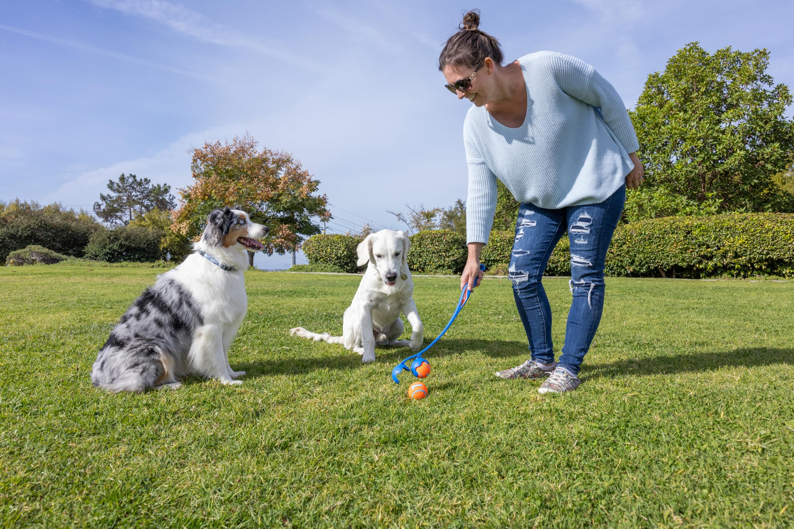 Dimensiones de 22 pulgadas para mayor alcance en perros de tamaño medio.