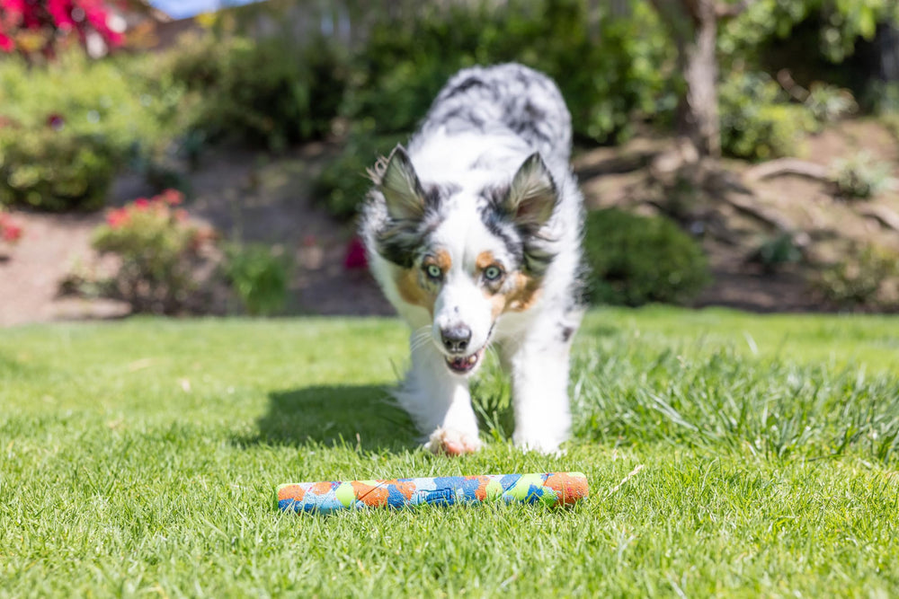 Chuckit EcoFetch Stick, goma gruesa para resistir juegos intensos.