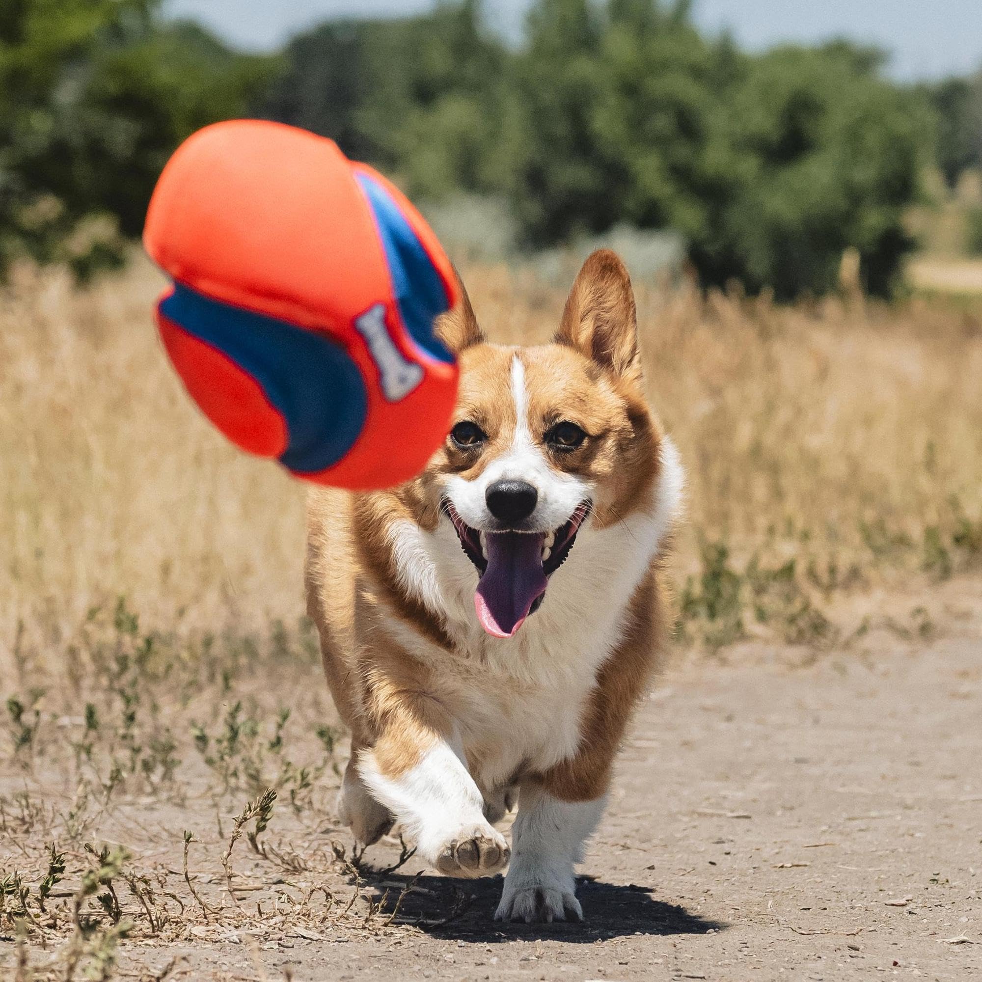 Chuckit! Fumble Fetch versátil para uso interior y exterior.