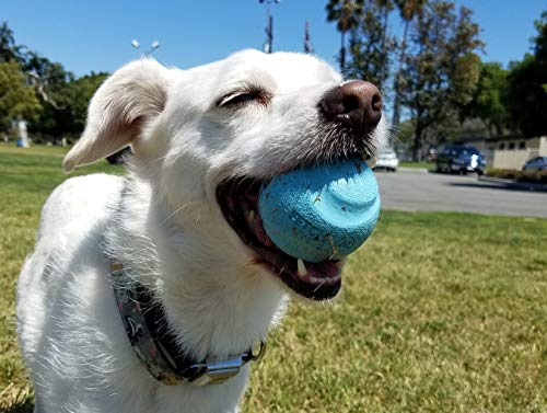 Chuckit Gen 1 Fetch Medley: goma duradera cuida la boca del perro durante el juego.