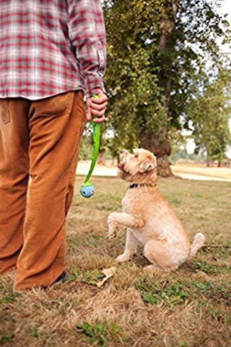 Chuckit Gen 1 Fetch Medley: tamaño medio 2.5 pulgadas, fácil de manejar para perros medianos.