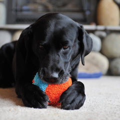 Chuckit! Indoor Fetch Shaker en juego interior para entretenimiento sin desorden.