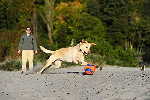 Chuckit! Kick Fetch Ball, flota en agua para juegos junto al agua