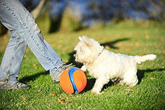 Chuckit! Kick Fetch Ball, rebote impredecible para perro cazador