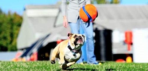 Chuckit! Kick Fetch Ball, versión glow nocturna para juegos al atardecer