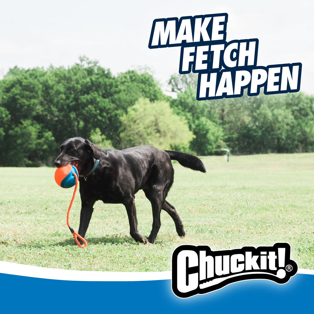 Chuckit! material duradero Oxford y EVA para resistencia