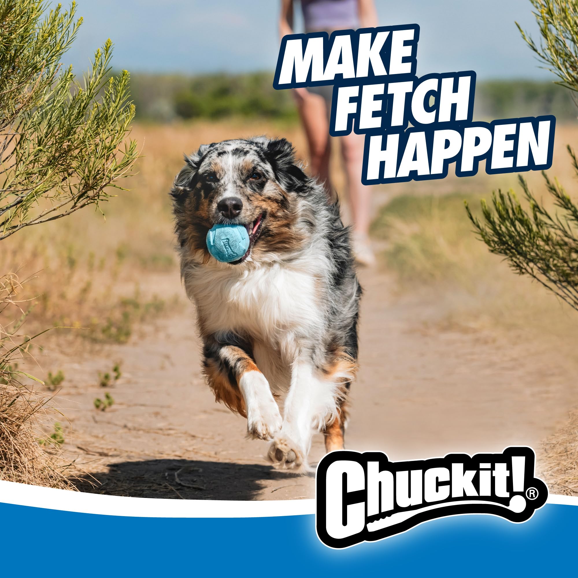 Rebounce Ball de Chuckit! para perros de 9–27 kg con 2,5 pulgadas de diámetro.