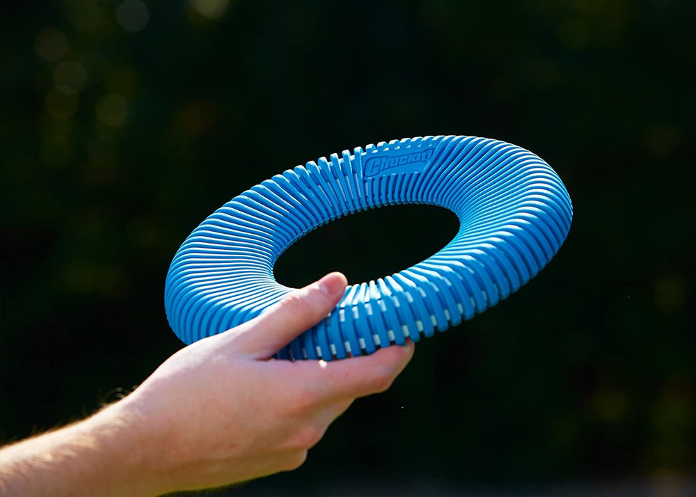 Uso al aire libre seguro con supervisión para evitar mordidas excesivas.