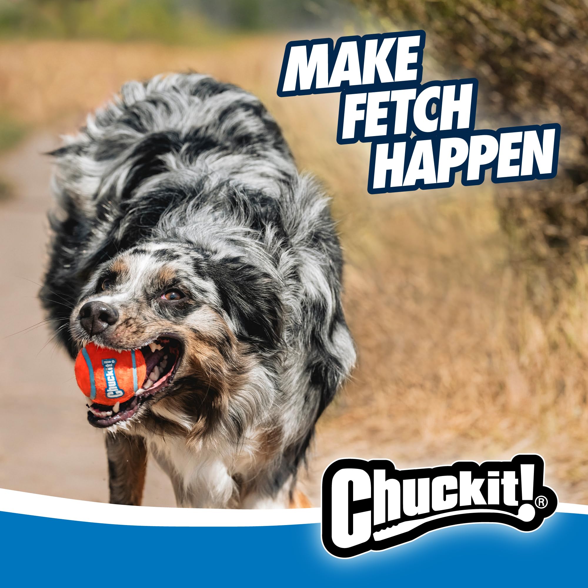 Chuckit! Sport 12M, regalo recomendado para dueños de perros activos.