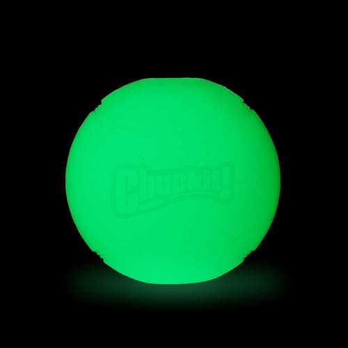 Chuckit! Textura rebote, pelota para perros con agarre y juego dinámico.