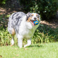 Chuckit! Ultra Ball flotante para juego en agua