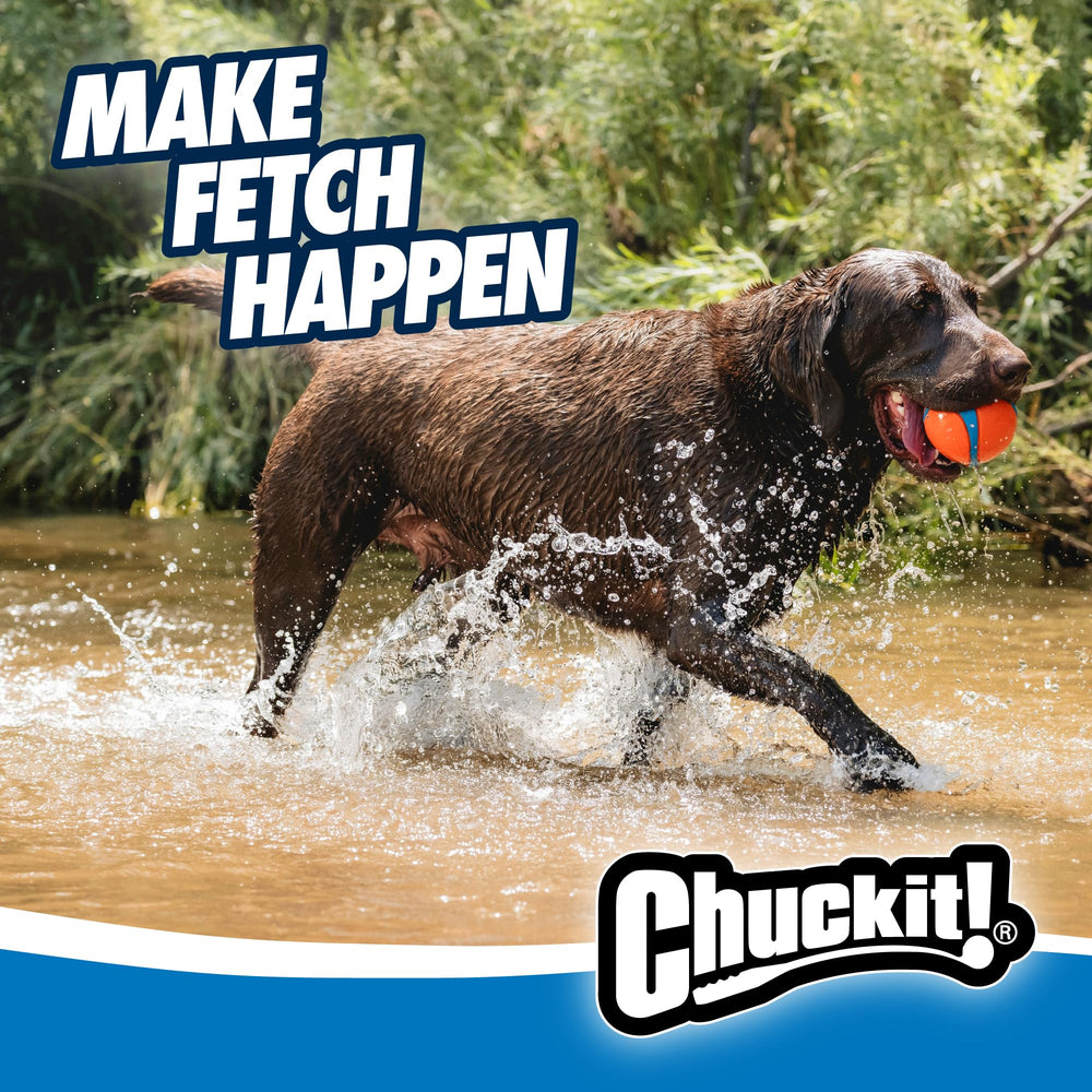 Chuckit! Ultra Ball para perros grandes, más de 45 kg.