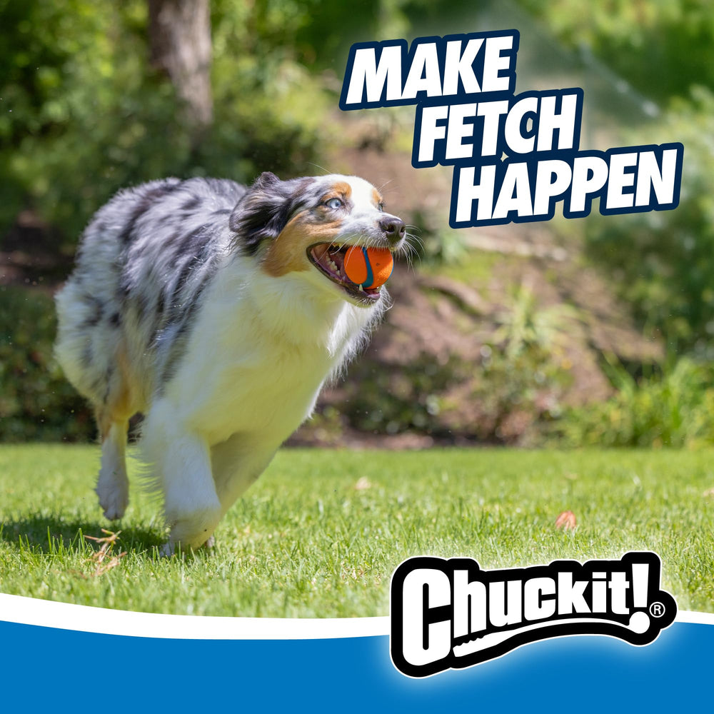 Chuckit! Ultra Ball: tamaño mediano 20-60 libras, adecuado para perros adultos activos.