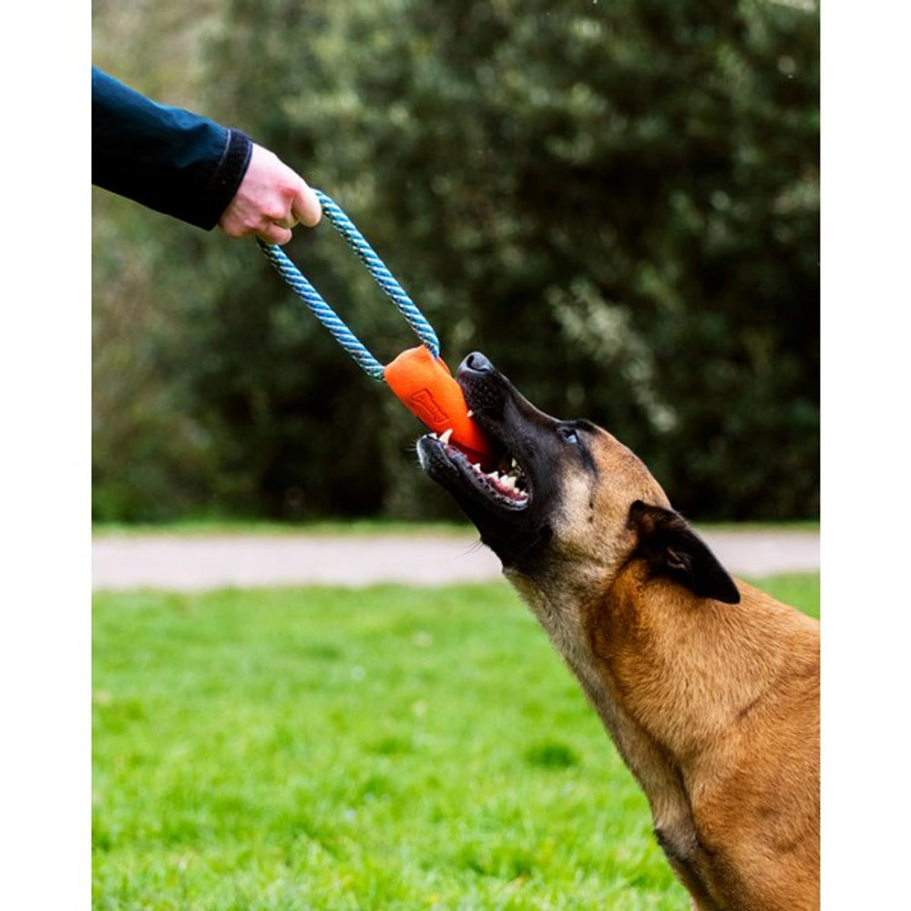 Chuckit Ultra Bumper Tug flotante en agua para diversión adicional.