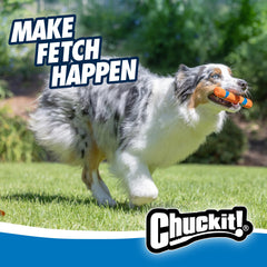 Chuckit Ultra Fetch Stick de 12 pulgadas para perros de todos los tamaños