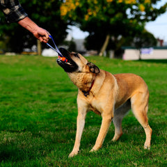 Chuckit Ultra Tug con dos bolas Ultra y cuerda, para juego compartido.