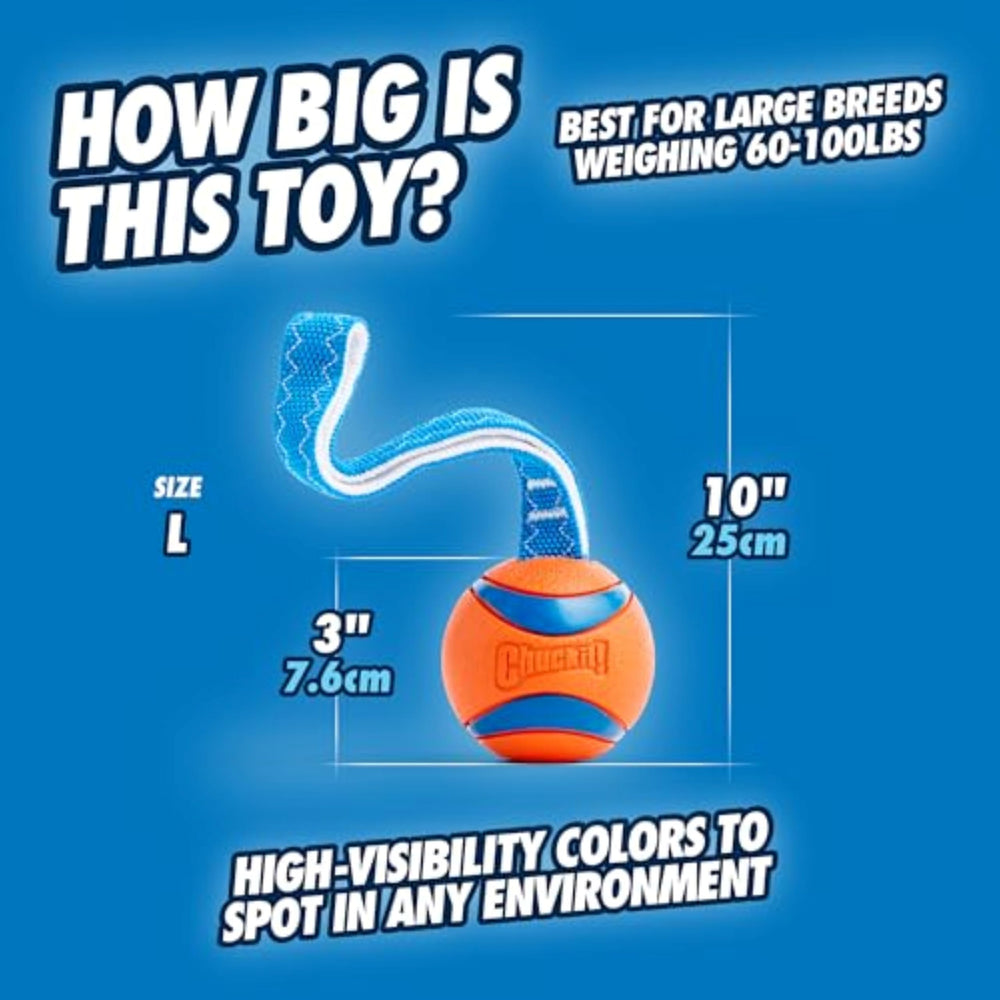 Chuckit Ultra Tug para juego de tirones entre perros.
