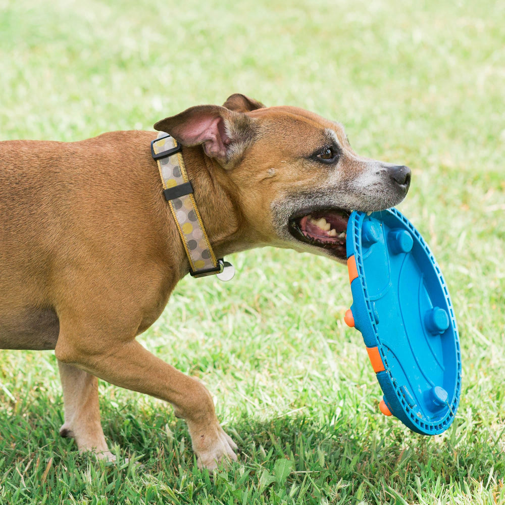 Chuckit Whistle Flight colección de juguetes para perros, complemento para diversificar el juego.